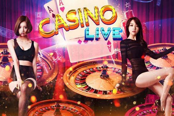 CardGames Live Casino
